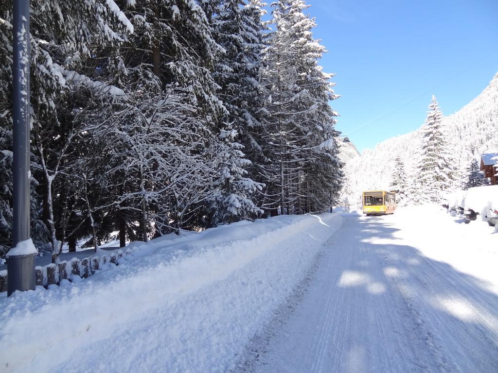 Chalet Pineta Relax Location Canazei Dış mekan fotoğraf